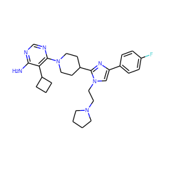 Nc1ncnc(N2CCC(c3nc(-c4ccc(F)cc4)cn3CCN3CCCC3)CC2)c1C1CCC1 ZINC000219751649