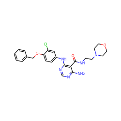 Nc1ncnc(Nc2ccc(OCc3ccccc3)c(Cl)c2)c1C(=O)NCCN1CCOCC1 ZINC000040862516