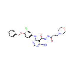 Nc1ncnc(Nc2ccc(OCc3ccccc3)c(Cl)c2)c1C(=O)NNC(=O)CCN1CCOCC1 ZINC000040899305