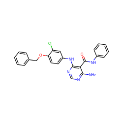 Nc1ncnc(Nc2ccc(OCc3ccccc3)c(Cl)c2)c1C(=O)Nc1ccccc1 ZINC000040862540