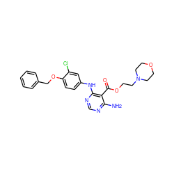 Nc1ncnc(Nc2ccc(OCc3ccccc3)c(Cl)c2)c1C(=O)OCCN1CCOCC1 ZINC000040862538