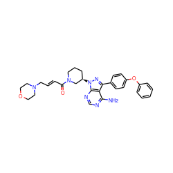 Nc1ncnc2c1c(-c1ccc(Oc3ccccc3)cc1)nn2[C@@H]1CCCN(C(=O)/C=C/CN2CCOCC2)C1 ZINC000113831973