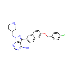 Nc1ncnc2c1c(-c1ccc3cc(OCc4ccc(Cl)cc4)ccc3c1)nn2CC1CCNCC1 ZINC000084672319