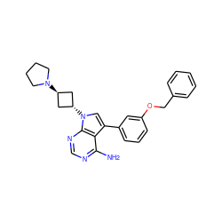 Nc1ncnc2c1c(-c1cccc(OCc3ccccc3)c1)cn2[C@H]1C[C@H](N2CCCC2)C1 ZINC000253651231