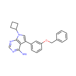 Nc1ncnc2c1c(-c1cccc(OCc3ccccc3)c1)cn2C1CCC1 ZINC000202265502