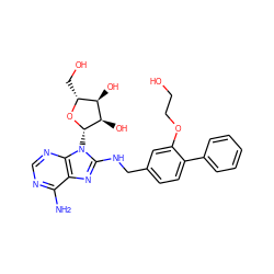 Nc1ncnc2c1nc(NCc1ccc(-c3ccccc3)c(OCCO)c1)n2[C@@H]1O[C@H](CO)[C@@H](O)[C@H]1O ZINC000144533615