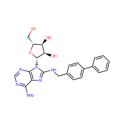 Nc1ncnc2c1nc(NCc1ccc(-c3ccccc3)cc1)n2[C@@H]1O[C@H](CO)[C@@H](O)[C@H]1O ZINC000144524022