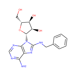 Nc1ncnc2c1nc(NCc1ccccc1)n2[C@@H]1O[C@H](CO)[C@@H](O)[C@H]1O ZINC000040900939