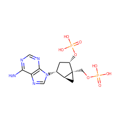 Nc1ncnc2c1ncn2[C@@H]1C[C@H](OP(=O)(O)O)[C@@]2(COP(=O)(O)O)C[C@@H]12 ZINC000027901924