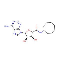 Nc1ncnc2c1ncn2[C@@H]1O[C@H](C(=O)NC2CCCCCCC2)[C@@H](O)[C@H]1O ZINC000013861520