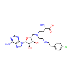 Nc1ncnc2c1ncn2[C@@H]1O[C@H](CN(CCNCCc2ccc(Cl)cc2)CC[C@H](N)C(=O)O)[C@@H](O)[C@H]1O ZINC000149923719