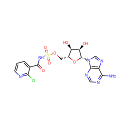 Nc1ncnc2c1ncn2[C@@H]1O[C@H](COS(=O)(=O)NC(=O)c2cccnc2Cl)[C@@H](O)[C@H]1O ZINC000028865824