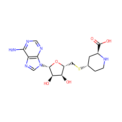 Nc1ncnc2c1ncn2[C@@H]1O[C@H](CS[C@H]2CCN[C@H](C(=O)O)C2)[C@@H](O)[C@H]1O ZINC000062178658