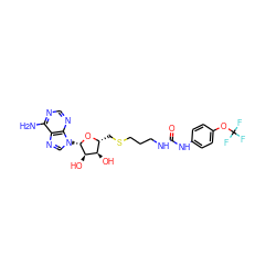 Nc1ncnc2c1ncn2[C@@H]1O[C@H](CSCCCNC(=O)Nc2ccc(OC(F)(F)F)cc2)[C@@H](O)[C@H]1O ZINC000095552302