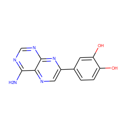 Nc1ncnc2nc(-c3ccc(O)c(O)c3)cnc12 ZINC000028711133