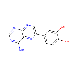 Nc1ncnc2ncc(-c3ccc(O)c(O)c3)nc12 ZINC000028711134