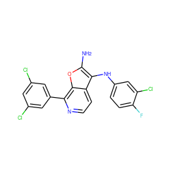 Nc1oc2c(-c3cc(Cl)cc(Cl)c3)nccc2c1Nc1ccc(F)c(Cl)c1 ZINC000222827687