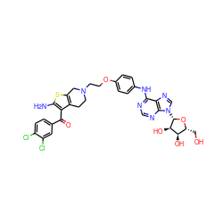 Nc1sc2c(c1C(=O)c1ccc(Cl)c(Cl)c1)CCN(CCOc1ccc(Nc3ncnc4c3ncn4[C@@H]3O[C@H](CO)[C@@H](O)[C@H]3O)cc1)C2 ZINC000049793896