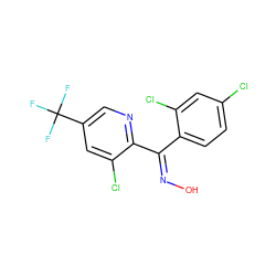 O/N=C(\c1ccc(Cl)cc1Cl)c1ncc(C(F)(F)F)cc1Cl ZINC000018045520