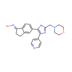 O/N=C1\CCc2cc(-c3[nH]c(CN4CCOCC4)nc3-c3ccncc3)ccc21 ZINC000040918516