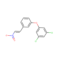 O=[N+]([O-])/C=C/c1cccc(Oc2cc(Cl)cc(Cl)c2)c1 ZINC000033967954