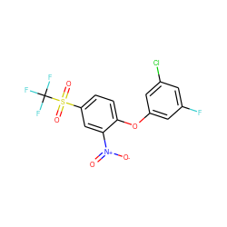 O=[N+]([O-])c1cc(S(=O)(=O)C(F)(F)F)ccc1Oc1cc(F)cc(Cl)c1 ZINC001559246194