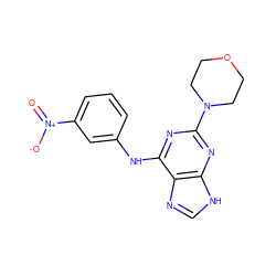 O=[N+]([O-])c1cccc(Nc2nc(N3CCOCC3)nc3[nH]cnc23)c1 ZINC000053230310