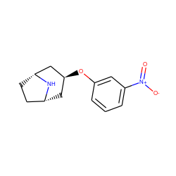 O=[N+]([O-])c1cccc(O[C@H]2C[C@@H]3CC[C@H](C2)N3)c1 ZINC000101387187