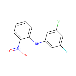 O=[N+]([O-])c1ccccc1Nc1cc(F)cc(Cl)c1 ZINC000095596562