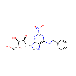 O=[N+]([O-])c1nc(NCc2ccccc2)c2ncn([C@@H]3O[C@H](CO)[C@@H](O)[C@H]3O)c2n1 ZINC000049014287