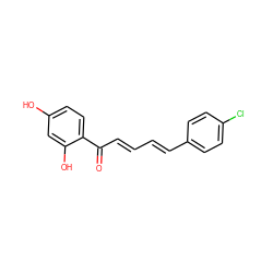 O=C(/C=C/C=C/c1ccc(Cl)cc1)c1ccc(O)cc1O ZINC000095586211