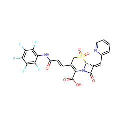 O=C(/C=C/C1=C(C(=O)O)N2C(=O)/C(=C/c3ccccn3)[C@H]2S(=O)(=O)C1)Nc1c(F)c(F)c(F)c(F)c1F ZINC000029402416