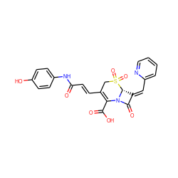 O=C(/C=C/C1=C(C(=O)O)N2C(=O)/C(=C/c3ccccn3)[C@H]2S(=O)(=O)C1)Nc1ccc(O)cc1 ZINC000013442979