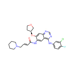 O=C(/C=C/CN1CCCCC1)Nc1cc2c(Nc3ccc(F)c(Cl)c3)ncnc2cc1O[C@H]1CCOC1 ZINC000214018807