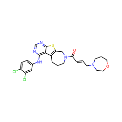 O=C(/C=C/CN1CCCOCC1)N1CCCc2c(sc3ncnc(Nc4ccc(Cl)c(Cl)c4)c23)C1 ZINC000043203721