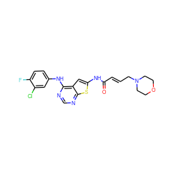 O=C(/C=C/CN1CCOCC1)Nc1cc2c(Nc3ccc(F)c(Cl)c3)ncnc2s1 ZINC000169311847