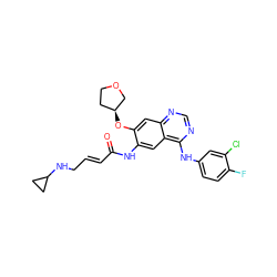 O=C(/C=C/CNC1CC1)Nc1cc2c(Nc3ccc(F)c(Cl)c3)ncnc2cc1O[C@H]1CCOC1 ZINC000473125740