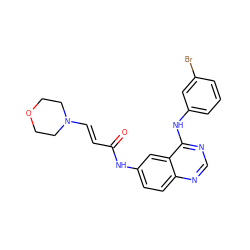 O=C(/C=C/N1CCOCC1)Nc1ccc2ncnc(Nc3cccc(Br)c3)c2c1 ZINC000013863683