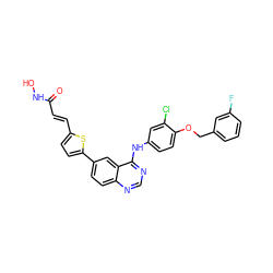 O=C(/C=C/c1ccc(-c2ccc3ncnc(Nc4ccc(OCc5cccc(F)c5)c(Cl)c4)c3c2)s1)NO ZINC000066262636