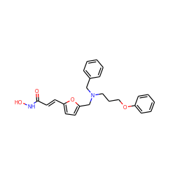 O=C(/C=C/c1ccc(CN(CCCOc2ccccc2)Cc2ccccc2)o1)NO ZINC000096915086