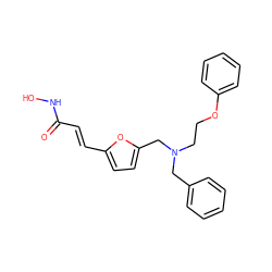 O=C(/C=C/c1ccc(CN(CCOc2ccccc2)Cc2ccccc2)o1)NO ZINC000096915084