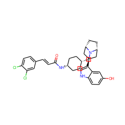 O=C(/C=C/c1ccc(Cl)c(Cl)c1)N[C@H]1CC[C@@H](CN2[C@H]3CC[C@@H]2C[C@@H](c2c[nH]c4ccc(O)cc24)C3)CC1 ZINC000253849829