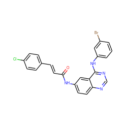 O=C(/C=C/c1ccc(Cl)cc1)Nc1ccc2ncnc(Nc3cccc(Br)c3)c2c1 ZINC000072106612