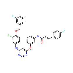 O=C(/C=C/c1ccc(F)cc1)Nc1cccc(Oc2cc(Nc3ccc(OCc4cccc(F)c4)c(Cl)c3)ncn2)c1 ZINC000082150623