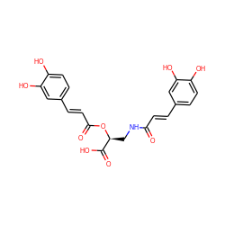 O=C(/C=C/c1ccc(O)c(O)c1)NC[C@H](OC(=O)/C=C/c1ccc(O)c(O)c1)C(=O)O ZINC000003589958