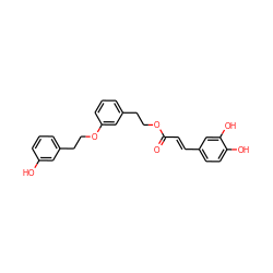 O=C(/C=C/c1ccc(O)c(O)c1)OCCc1cccc(OCCc2cccc(O)c2)c1 ZINC000473154956