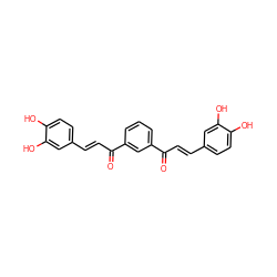 O=C(/C=C/c1ccc(O)c(O)c1)c1cccc(C(=O)/C=C/c2ccc(O)c(O)c2)c1 ZINC000006525366