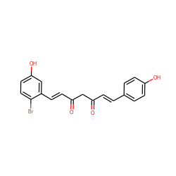 O=C(/C=C/c1ccc(O)cc1)CC(=O)/C=C/c1cc(O)ccc1Br ZINC000068197120