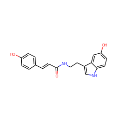 O=C(/C=C/c1ccc(O)cc1)NCCc1c[nH]c2ccc(O)cc12 ZINC000001587152