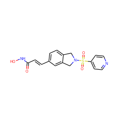 O=C(/C=C/c1ccc2c(c1)CN(S(=O)(=O)c1ccncc1)C2)NO ZINC000072176405